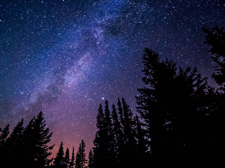SpaceX to deliver Star-Link satellite broadband to Grantland